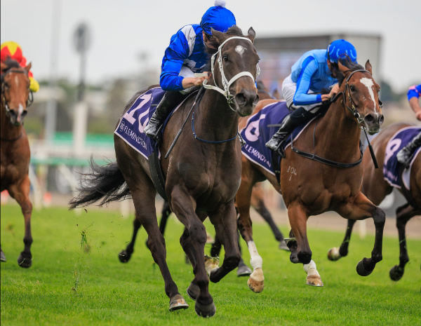 Amelita wins the G3 Red Roses Stakes - image Grant Courtney