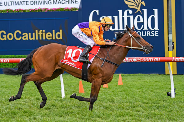Ameristralia carries the Spendthrift colours to victory at Caulfield (image Racing Photos)