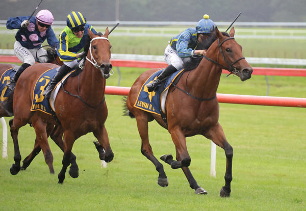 Road To Paris begins to veer out and into the path of eventual winner Ammirati in the Gr.3 Jennian Homes Wellington Stakes (1600m) at Otaki. Photo: Peter Rubery (Race Images Palmerston North)