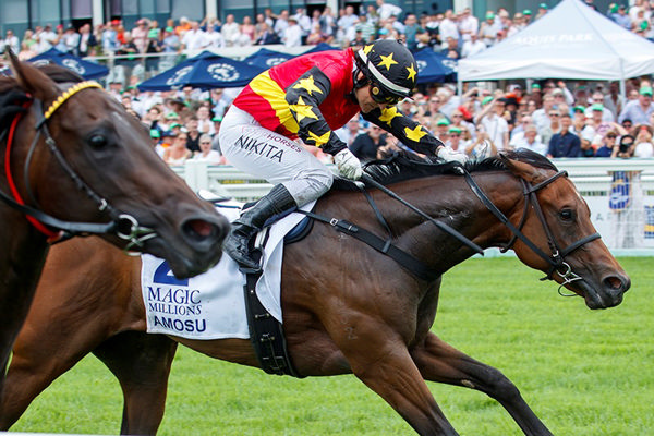 Amosu wins the Mm The Debut. Image: Magic Millions