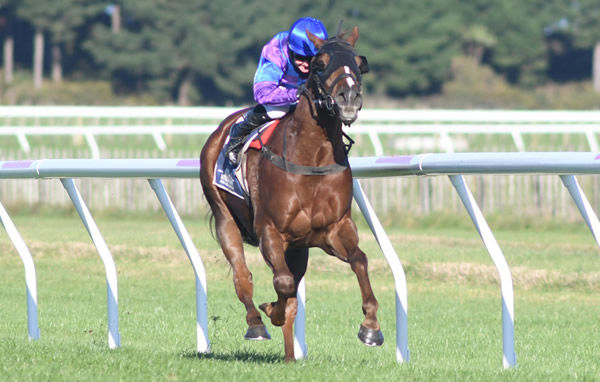 Amusez Moi is well clear towards the finish of the Listed AGC Training Stakes (1650m) at Waverley Photo credit: Race Images – Grant Matthew