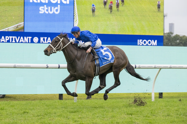 Amusing wins the first at Rosehill - image Bradley Photography