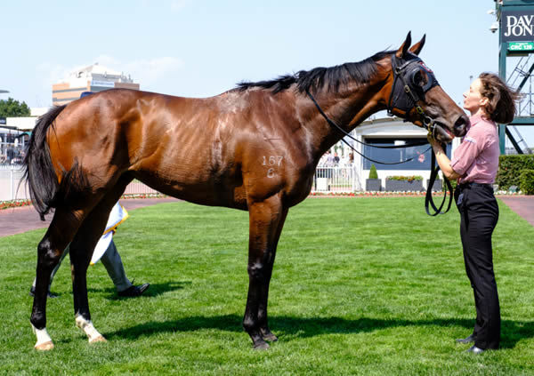 Anaheed is a powerhouse daughter of Fastnet Rock