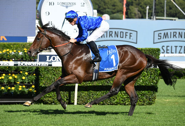 Anamoe will lead the charge for Godolphin - image Steve Hart.