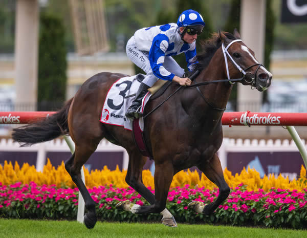 Ancestry wins the Listed Abell Stakes - image Grant Courtney 
