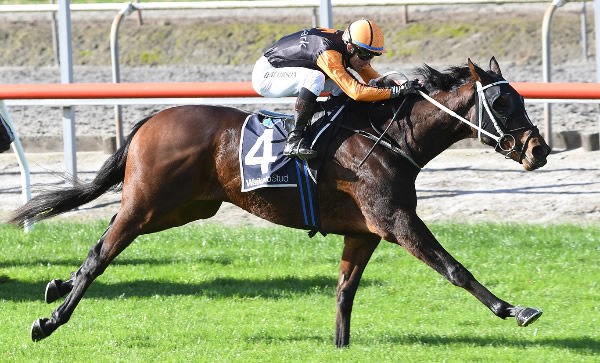 Andy Win winning at Matamata on Wednesday.  Photo: Kenton Wright (Race Images)