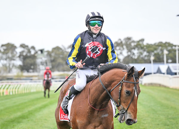 Angel Ladder returns a winner - image Reg Ryan / Racing Photos