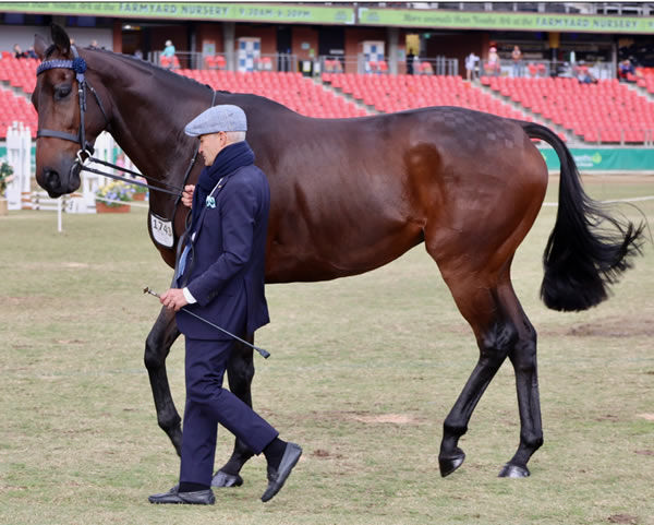 Group I Australian Derby winner Angel of Mercy was at this year's Sydney Royal with Corey Brown. 
