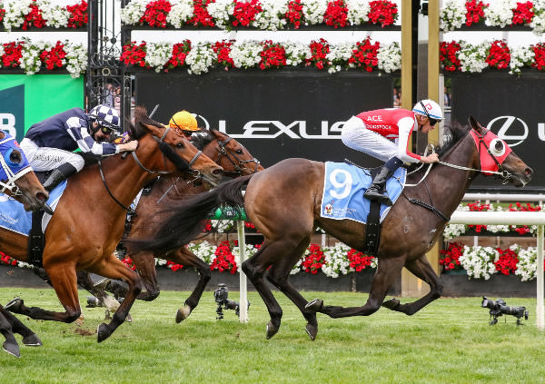 Angland records his fourth win from only five starts in Saturday’s A$150,000 Ronald McDonald House Charities Mile (1600m). Photo: Bruno Cannatilli