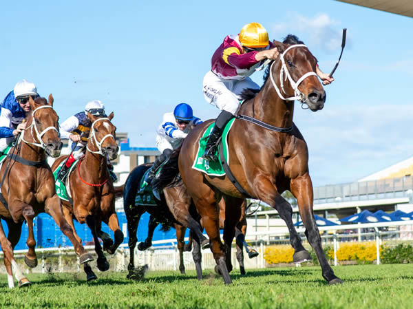 Another Dollar wins at Doomben - image Racing QTwitter