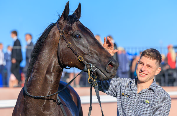 Antino is the third G1 winner for Westbury Stud's Redwood (GB) - image Grant Courtney