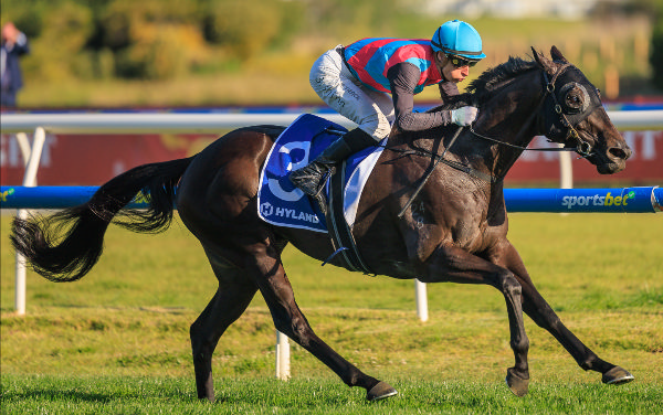 Antino winning the Gr.1 Toorak Handicap (1600m) at Caulfield - image Grant Courtney