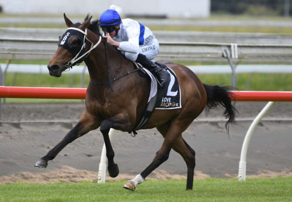 Gr.1 New Zealand Derby (2400m) runner-up Antrim Coast will contest the Gr.2 Alister Clark (2040m) at The Valley on Saturday.   Photo: Kenton Wright (Race Images)