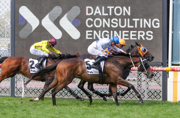 Antrim Coast (closest to camera) prevails in a tight finish over Quintessa to win the Gr.2 Alister Clark Stakes (2040m) at The Valley. Photo: Bruno Cannatelli 
