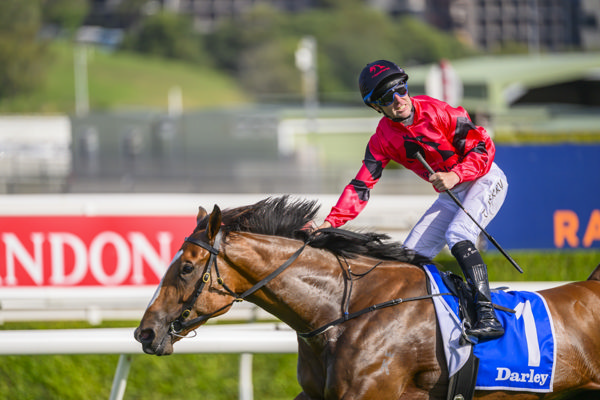 Apocalyptic a G1 winner at her fourth start - image Bradley Photography
