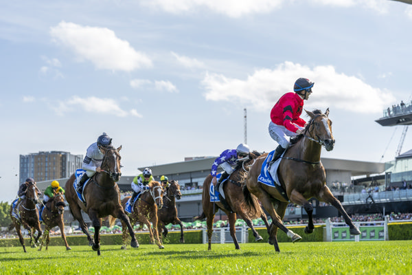 Apocalyptic leads the charge in the G2 Flight - image Bradley Photography
