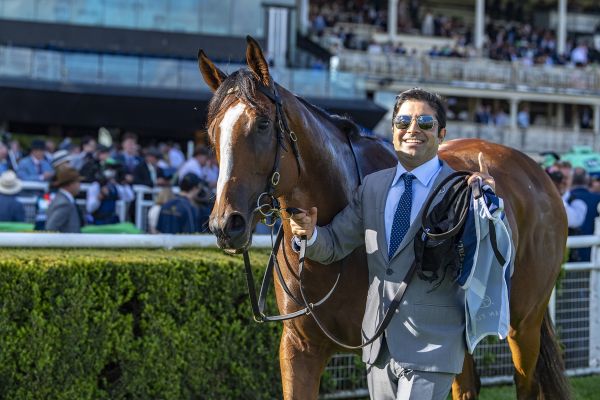 Apocalyptic Blazes Back in $1m Silver Eagle | Breednet