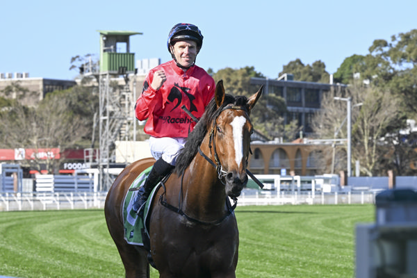 Apocalyptic and Tommy Berry make a great team - image Bradley Photography