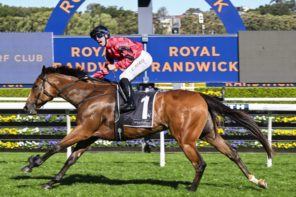 Apocalyptic dominates in the G2 Tea Rose - image Bradley Photography