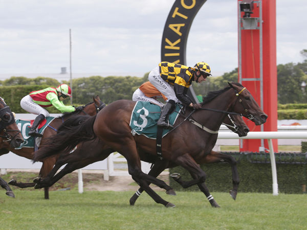 The Gr.1 Zabeel Classic (2000m) is looming as a potential target for Aquacade. Photo: Trish Dunell