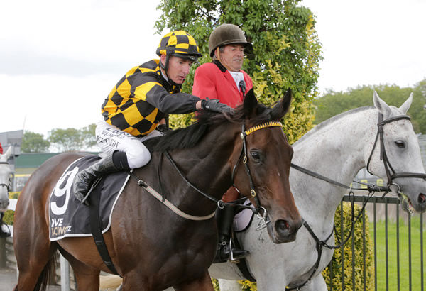Aquacade will resume in Saturday's Listed Team Wealleans Matamata Cup (1600m). Photo: Kenton Wright (Race Images)