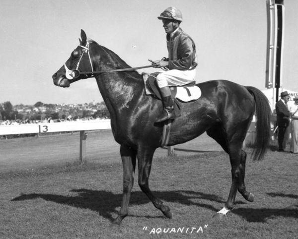 Aquanita was the Best in the West of his era.