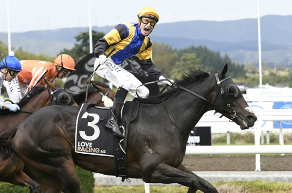 Connections are eyeing a trip across the Tasman with Arby to contest the Gr.1 Queensland Derby (2400m). Photo: Grant Peters, Race Images