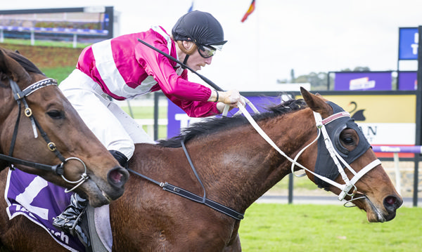 Arcadia Park captures Aquanita Stakes at Bunbury. Photo: Western Racepix