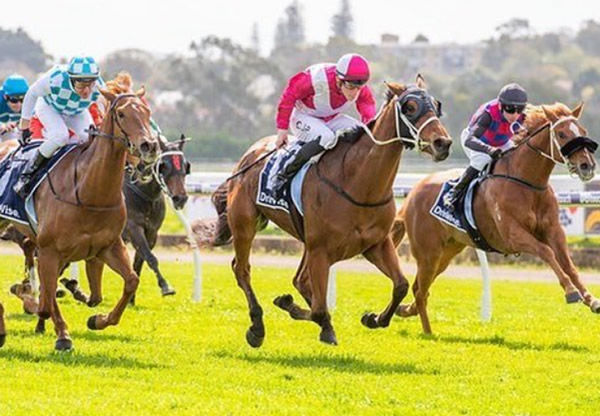 Arcadia Star wins on debut at Belmont - image Western Racepix