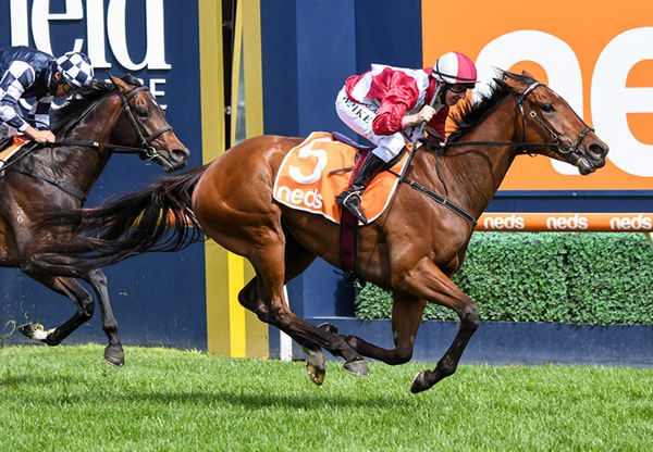 Arcadia Queen wins the G1 Caulfield Stakes - image Pat Scala / Racing Photos