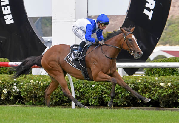 Archaic Smile will contest the Gr.2 J Swap Contractors Ltd Matamata Breeders’ Stakes (1200m) on Saturday.  Photo: Peter Rubery (Race Images Palmerston North)