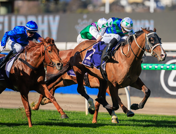 Arcora wins at Flemington - image Grant Courtney