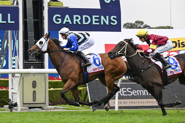 Second Black Type Victory For Frosted mare Arctic Glamour - Image Bradley Photos