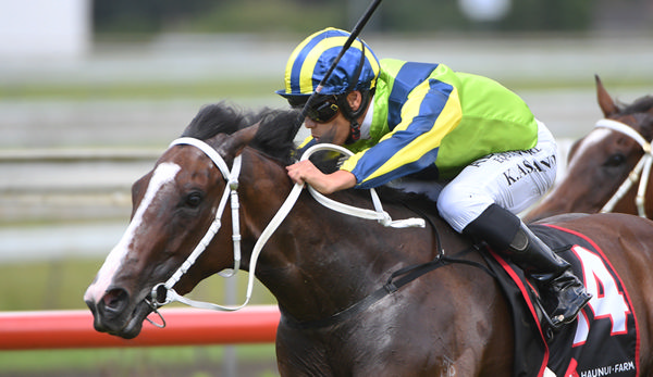 Ardalio wins the G3 Counties Bowl - Photo: Kenton Wright (Race Images)