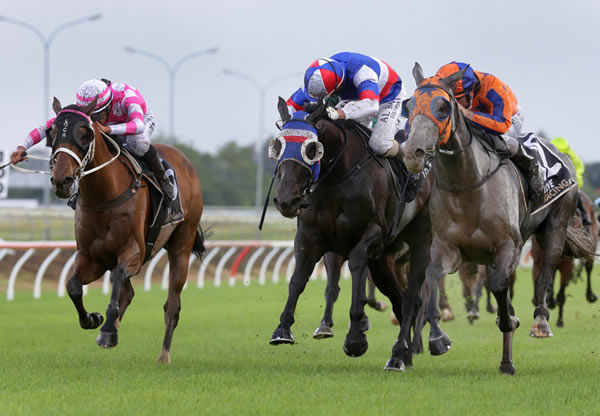Aromatic (right) gets the better of Self Obsession (middle) and Viktor Vegas (inner)  at the finish of the Gr.3 Pukekohe Traders Counties Cup (2100m) Photo: Trish Dunell