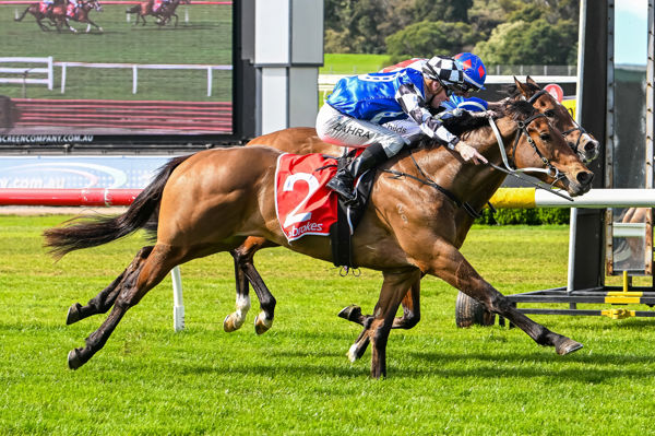 Artzino leaves it late (image Morgan Hancock/Racing Photos)