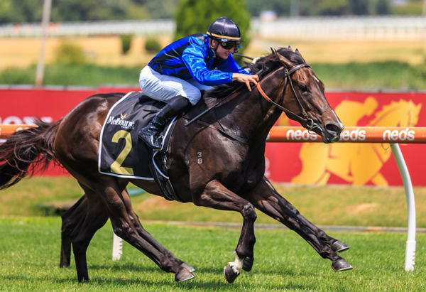 Asfoora wins three on the trot at Caulfield - image Grant Courtney