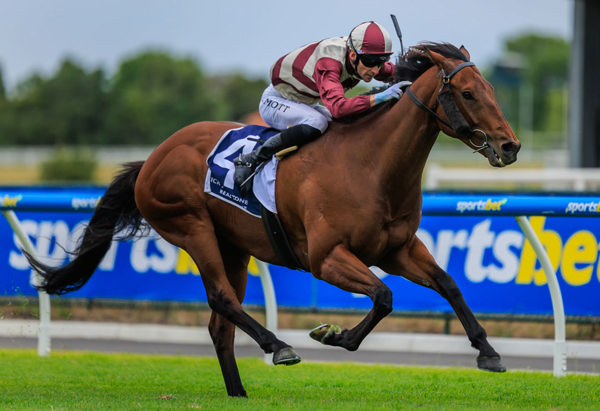 Ashford Street winning the Christmas Stakes. Photo: Grant Courtney.