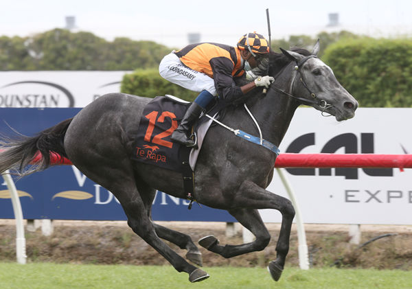 Aspen Colorado is joining Chris Waller’s Sydney barn. Photo: Trish Dunell