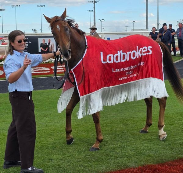 Asva looks smart in his Ladbrokes Launceston Cup rug - image Ladbrokes Twitter