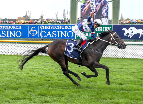 Atishu bolts clear with the Listed NZB Airfreight Stakes (1600m) at Riccarton  Photo Credit: Race Images South
