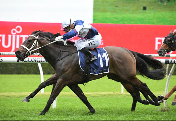Atishu is looking to be the next G1 winner for champion sire Savabeel - -image Steve Hart