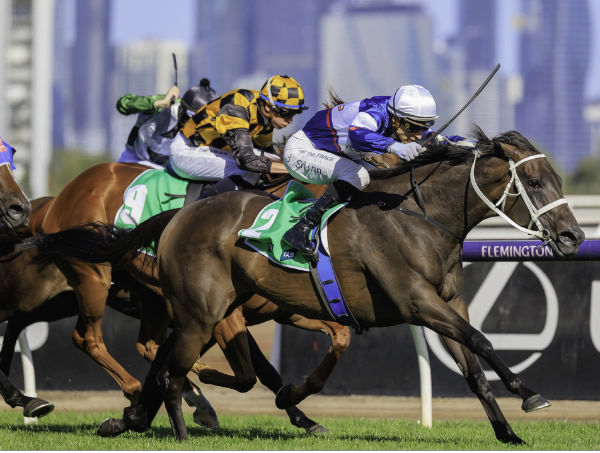 Atishu wins the G2 Blamey Stakes - image Grant Courtney