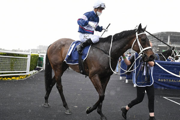 It was a wet return to scale for Atishu at Randwick - image Steve Hart.