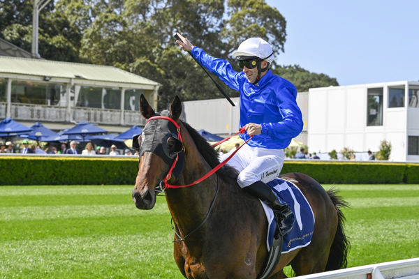 Attica is a colt with a big pedigree - image Bradley Photography