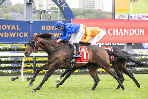 Attica downs Shangri La Boy to win the G1 Spring champion - image Bradley Photos