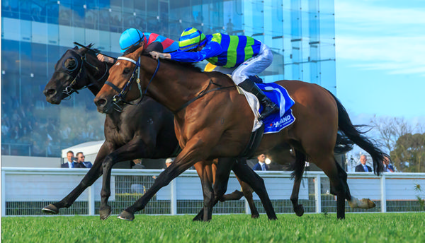 Attrition edges out Antino to win the G1 Toorak Handicap - image Grant Courtney