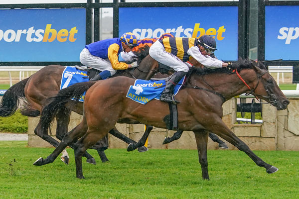Attorney sweeps down the outside in the Pakenham Cup (Scott Barbour/Racing Photos)