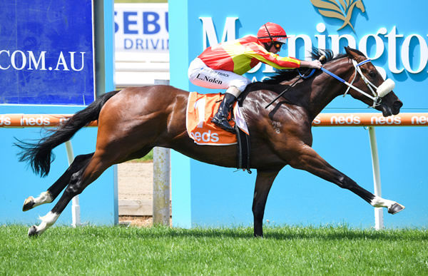 Attractable wins with ease at Mornington - image Pat Scala/ Racing Photos