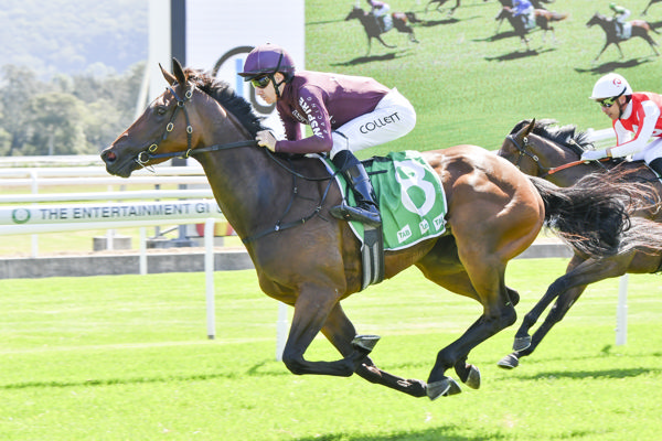 Attractiveness scores an easy win at Gosford - image Bradley Photos